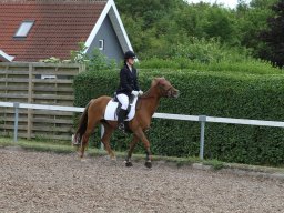 img_4649_web